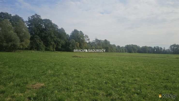 , Działki  na sprzedaż, Cholerzyn, ul. 
