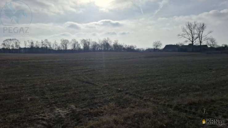 Działki  na sprzedaż, Piastowice, ul. , 