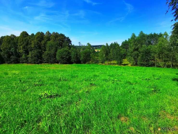 Działki  na sprzedaż, Głogoczów, ul. , 