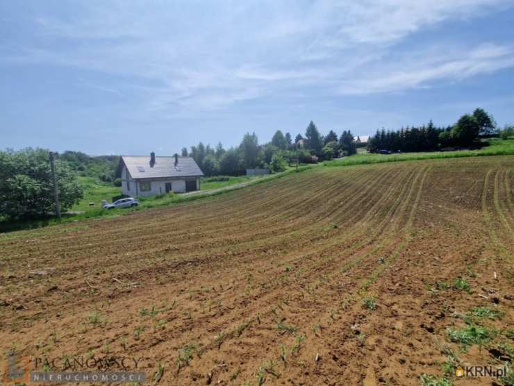 Wola Zachariaszowska, ul. , Działki  na sprzedaż, 