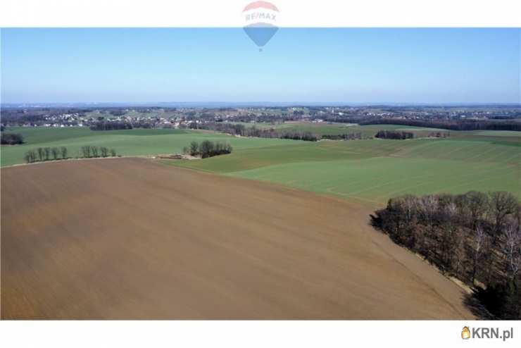 RE/MAX Polska, Działki  na sprzedaż, Osiek, ul. 