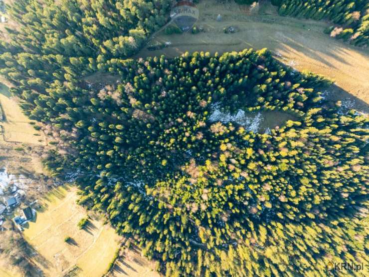 RE/MAX Polska, Działki  na sprzedaż, Harklowa, ul. 