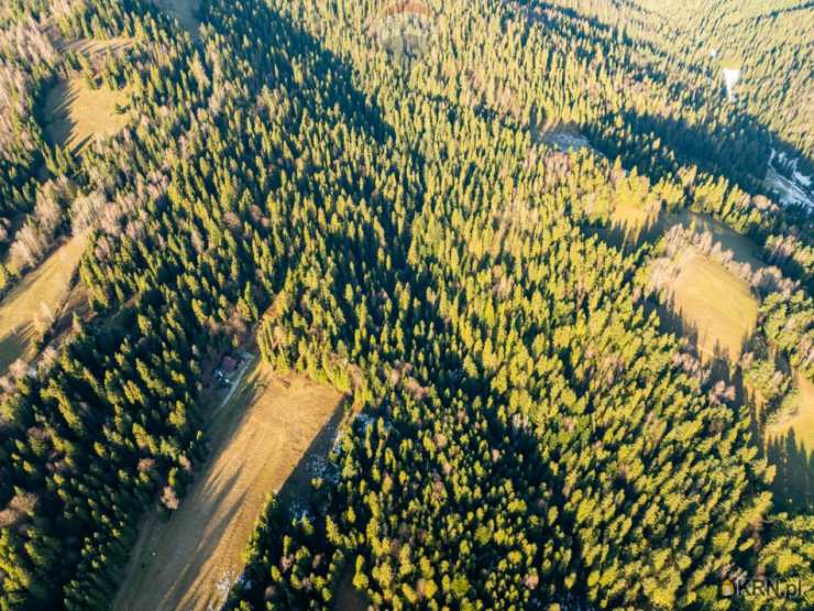 Działki  na sprzedaż, Harklowa, ul. , 