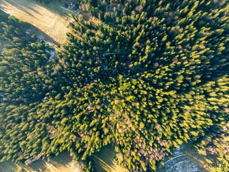 Działki  na sprzedaż, , Harklowa, ul. 
