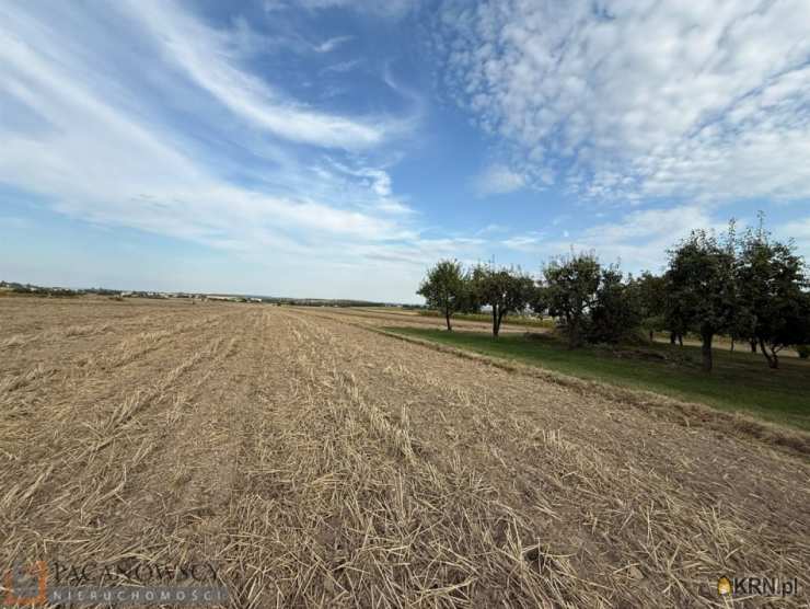 Działki  na sprzedaż, Cianowice Duże, ul. , 
