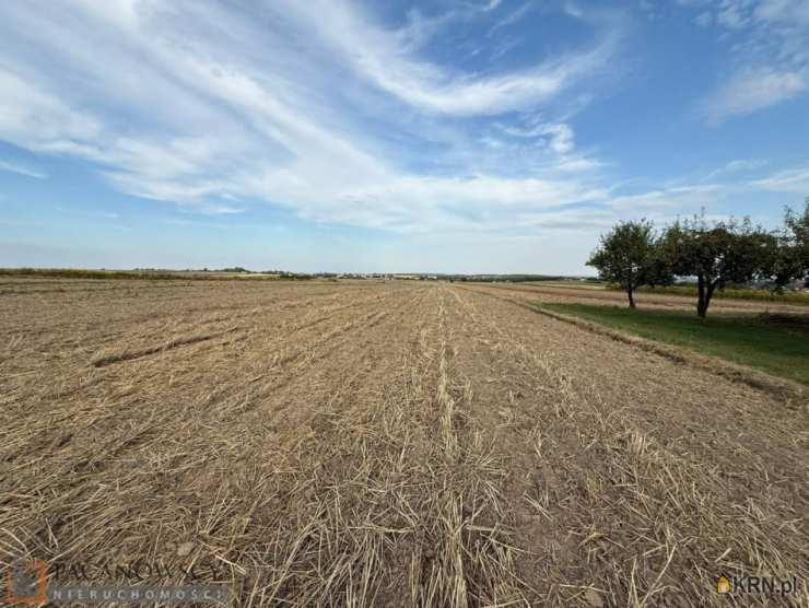 Działki  na sprzedaż, , Cianowice Duże, ul. 