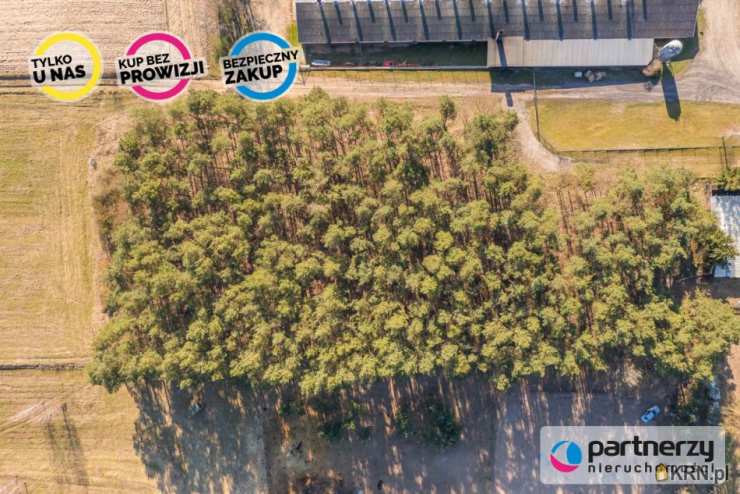 Zwierzewo, ul. , Działki  na sprzedaż, 