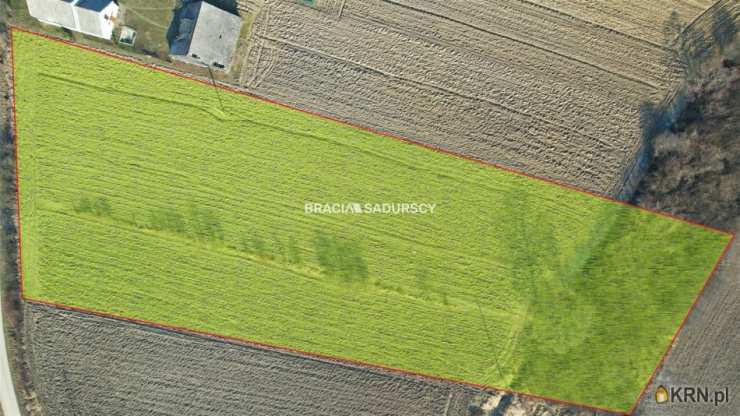 Popędzyna, ul. , Działki  na sprzedaż, 