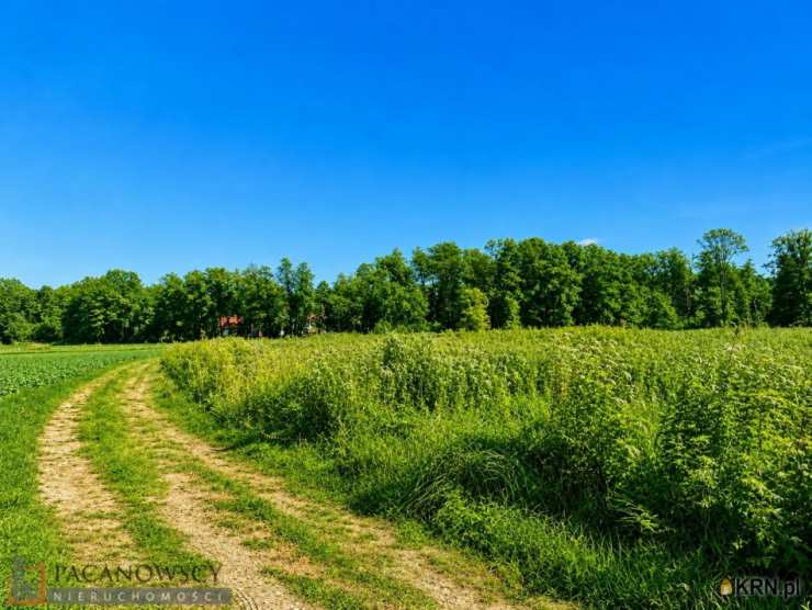 Januszowice, ul. , Działki  na sprzedaż, 