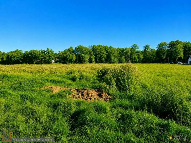 Działki  na sprzedaż, , Januszowice, ul. 