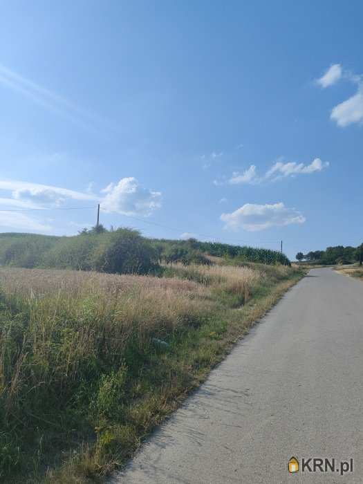 Działki  na sprzedaż, Winiary, ul. , 