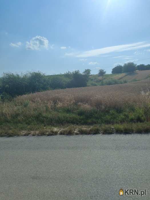 Winiary, ul. , Działki  na sprzedaż, 