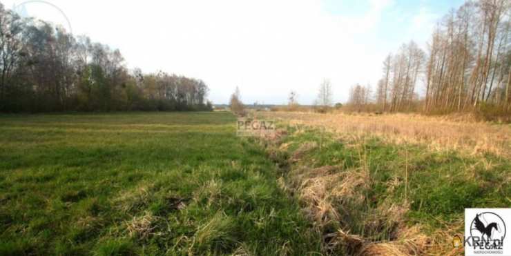 Działki  na sprzedaż, Milcz, ul. , 