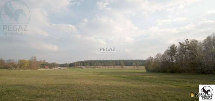 Pegaz Nieruchomości, Działki  na sprzedaż, Milcz, ul. 