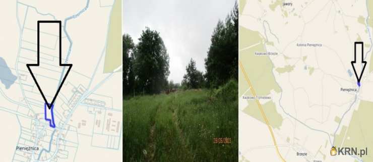 Działki  na sprzedaż, Pieniężnica, ul. , 