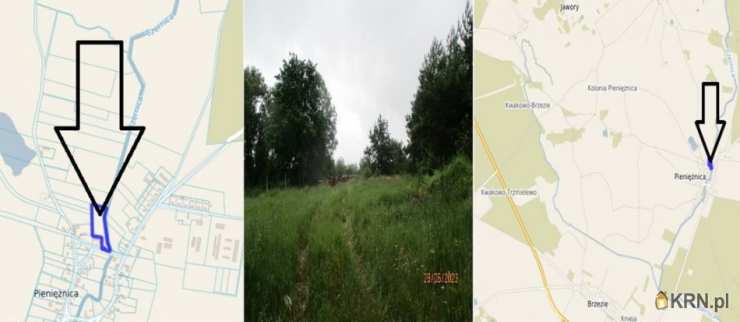 Działki  na sprzedaż, Pieniężnica, ul. , 