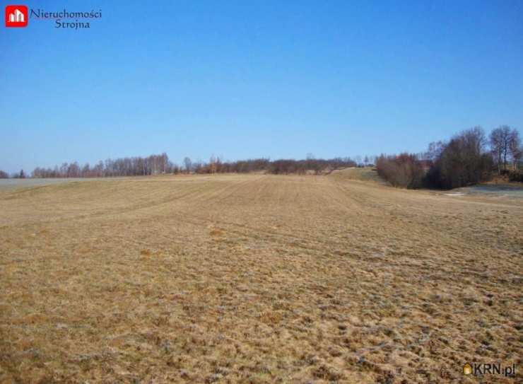 Działki  na sprzedaż, , Sieraków, ul. 