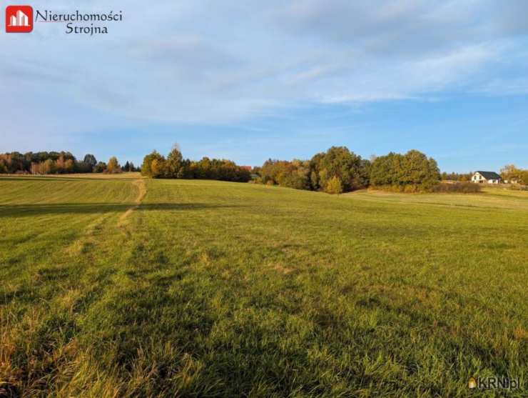 Działki  na sprzedaż, , Sieraków, ul. 