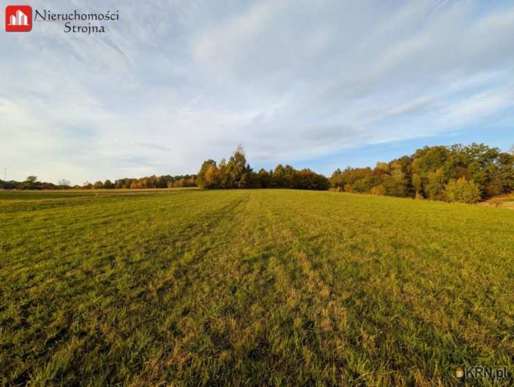 , Działki  na sprzedaż, Sieraków, ul. 