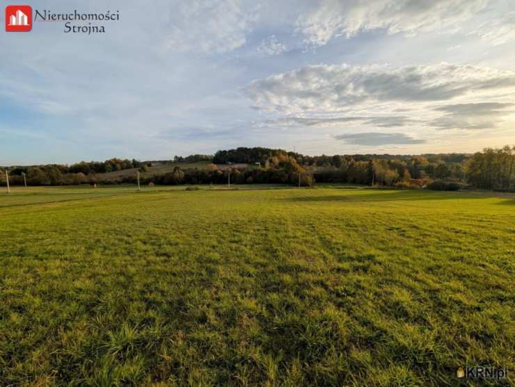 Nieruchomości Strojna, Działki  na sprzedaż, Sieraków, ul. 