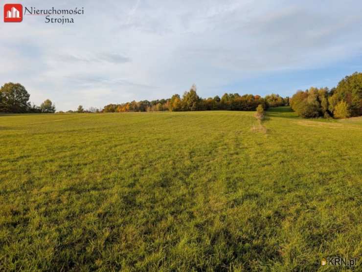Działki  na sprzedaż, Sieraków, ul. , 