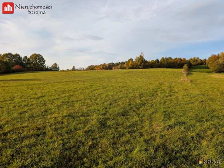 Działki  na sprzedaż, , Sieraków, ul. 