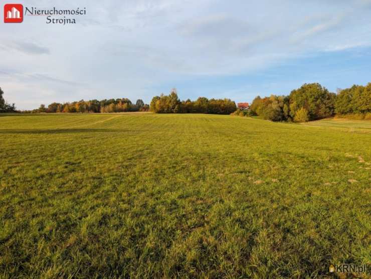 Sieraków, ul. , Działki  na sprzedaż, 
