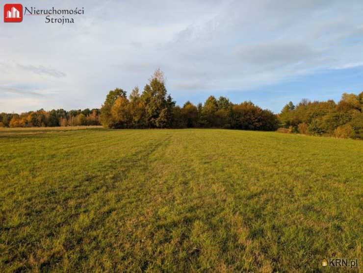 , Działki  na sprzedaż, Sieraków, ul. 