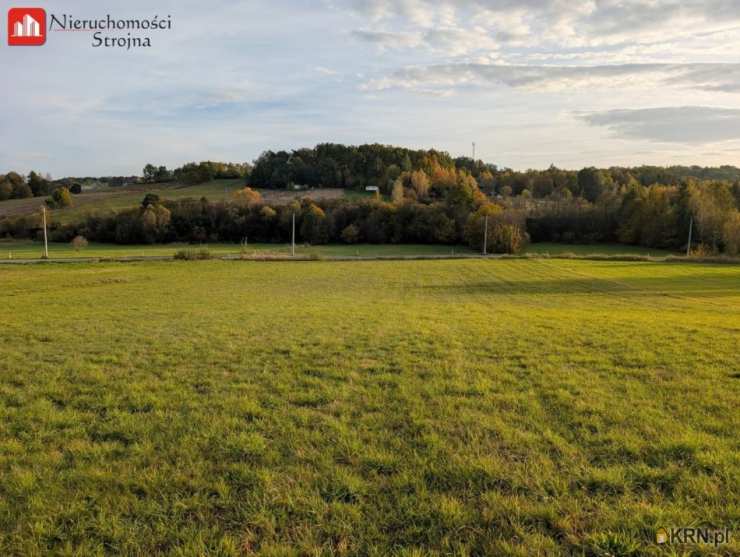Nieruchomości Strojna, Działki  na sprzedaż, Sieraków, ul. 