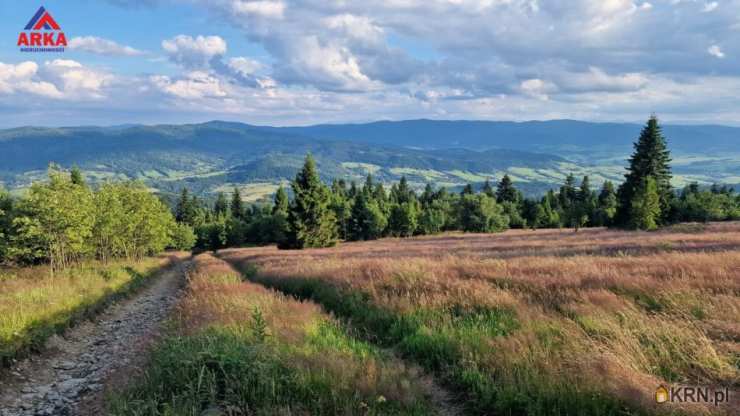 Działki  na sprzedaż, Wilczyce, ul. , 