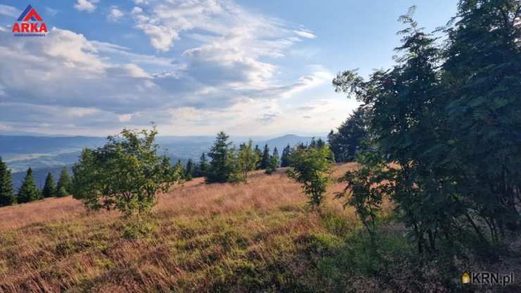 Działki  na sprzedaż, , Wilczyce, ul. 