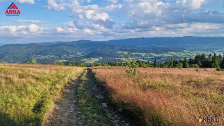 Wilczyce, ul. , Działki  na sprzedaż, 