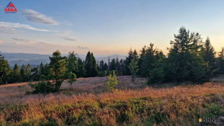 Wilczyce, ul. , , Działki  na sprzedaż