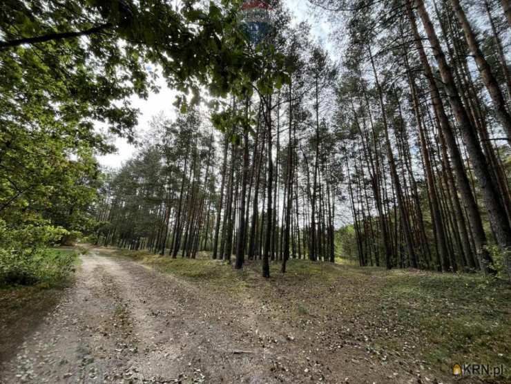 , Działki  na sprzedaż, Pustelnik, ul. 