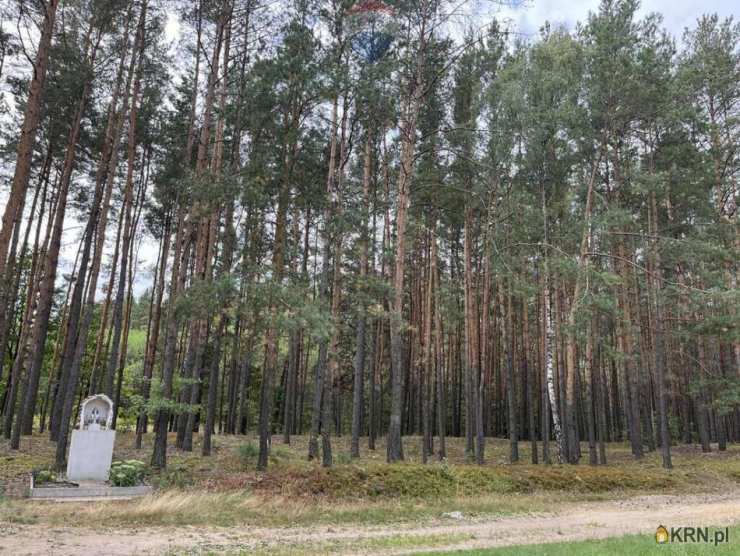Działki  na sprzedaż, Pustelnik, ul. , 