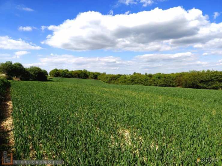 Działki  na sprzedaż, Grodzisko, ul. , 