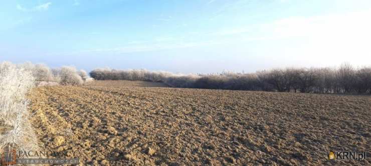 Skała, ul. , Działki  na sprzedaż, 