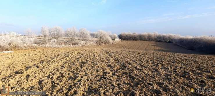 Działki  na sprzedaż, Skała, ul. , 