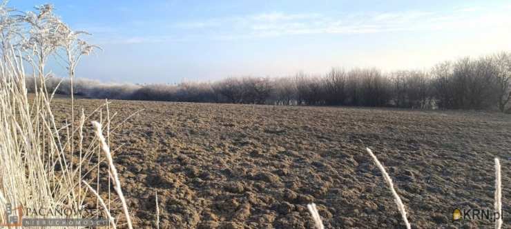 Skała, ul. , Działki  na sprzedaż, 