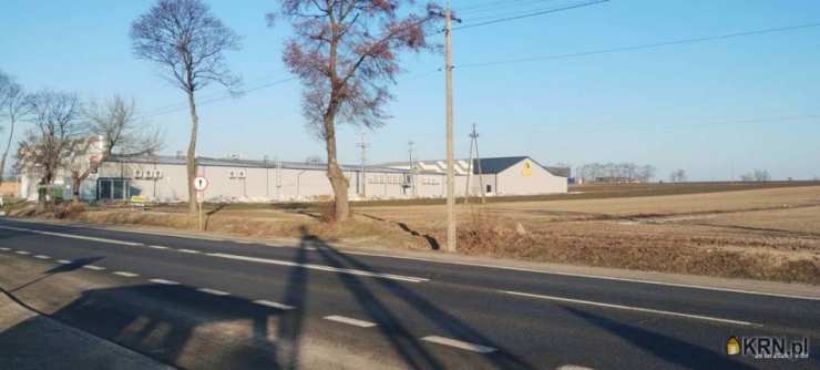 Działki  na sprzedaż, Zakroczym, ul. , 