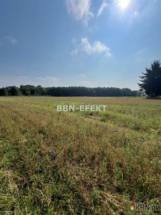 Bielskie Biuro Nieruchomości EFEKT- Krzysztof Filipek , Działki  na sprzedaż, Bestwina, ul. 