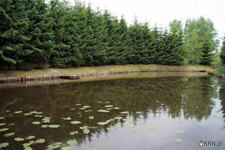 Działki  na sprzedaż, Dubeninki, ul. , 