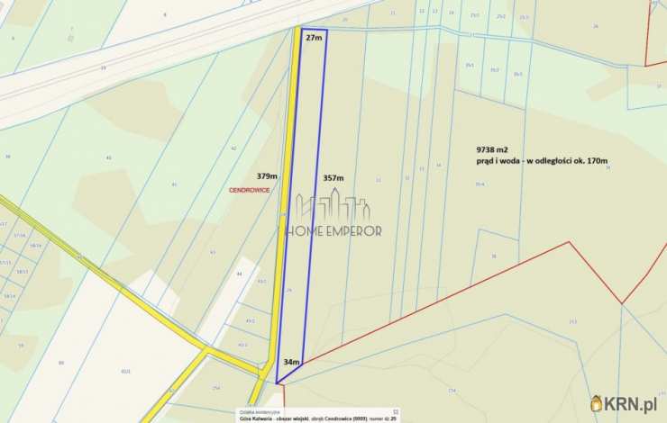 Działki  na sprzedaż, Cendrowice, ul. Leśna, 