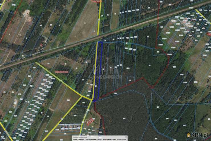 Cendrowice, ul. Leśna, Działki  na sprzedaż, 