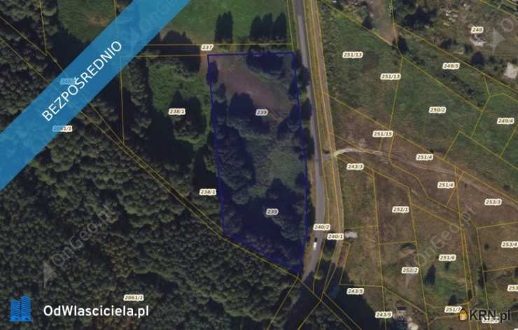 Działki  na sprzedaż, , Wielka Nieszawka, ul. 