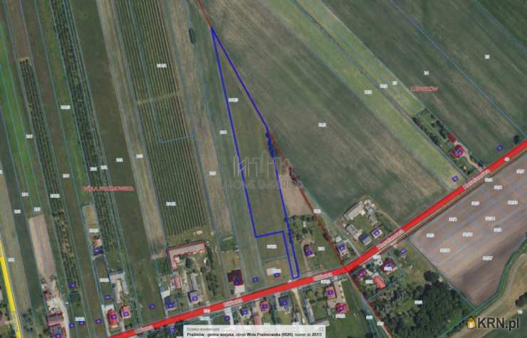 Wola Prażmowska, ul. Główna, , Działki  na sprzedaż