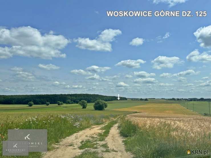 Działki  na sprzedaż, Siemysłów, ul. , 