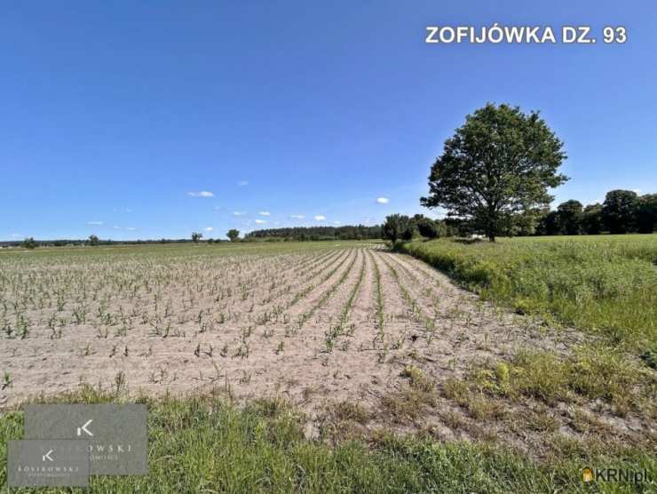 Działki  na sprzedaż, , Siemysłów, ul. 