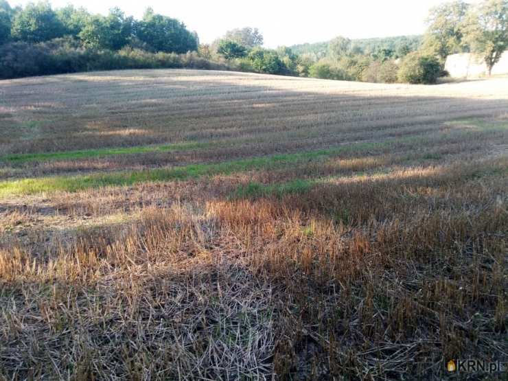 Działki  na sprzedaż, Włocławek, ul. , 