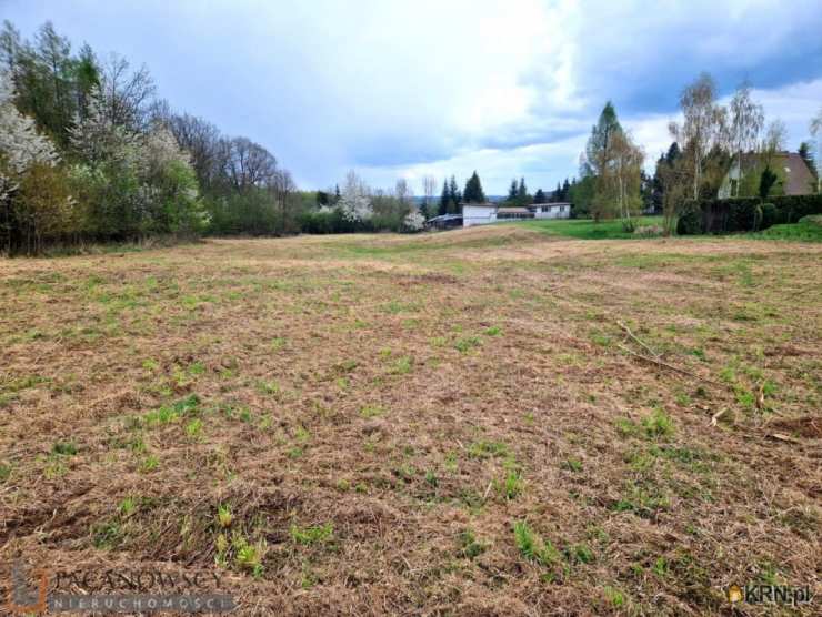 PACANOWSCY NIERUCHOMOŚCI, Działki  na sprzedaż, Żerkowice, ul. 